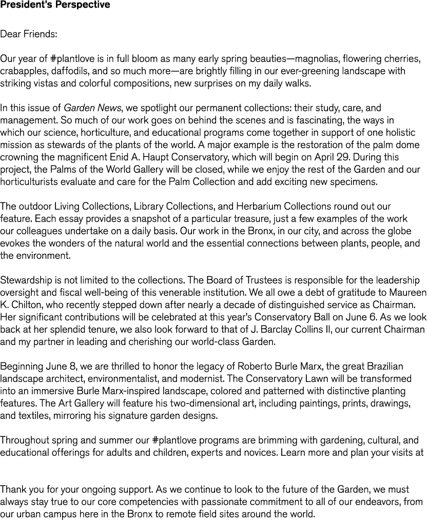 President s Perspective Dear Friends  Our year of  plantlove is in full bloom as many early spring beauties—magnolias   