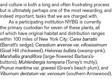 and culture is both a long and often frustrating process but is ultimately perhaps one of the most rewarding  and ind   