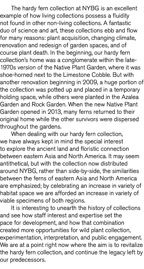 The hardy fern collection at NYBG is an excellent example of how living collections possess a fluidity not found in o   