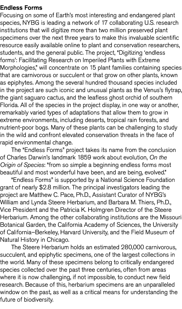 Endless Forms Focusing on some of Earth s most interesting and endangered plant species  NYBG is leading a network of   