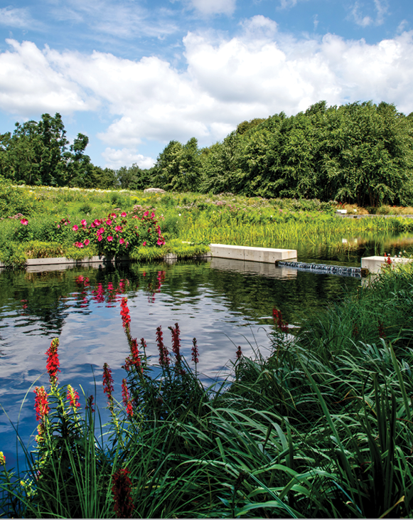 Students in the Edible Academy potting up a plant