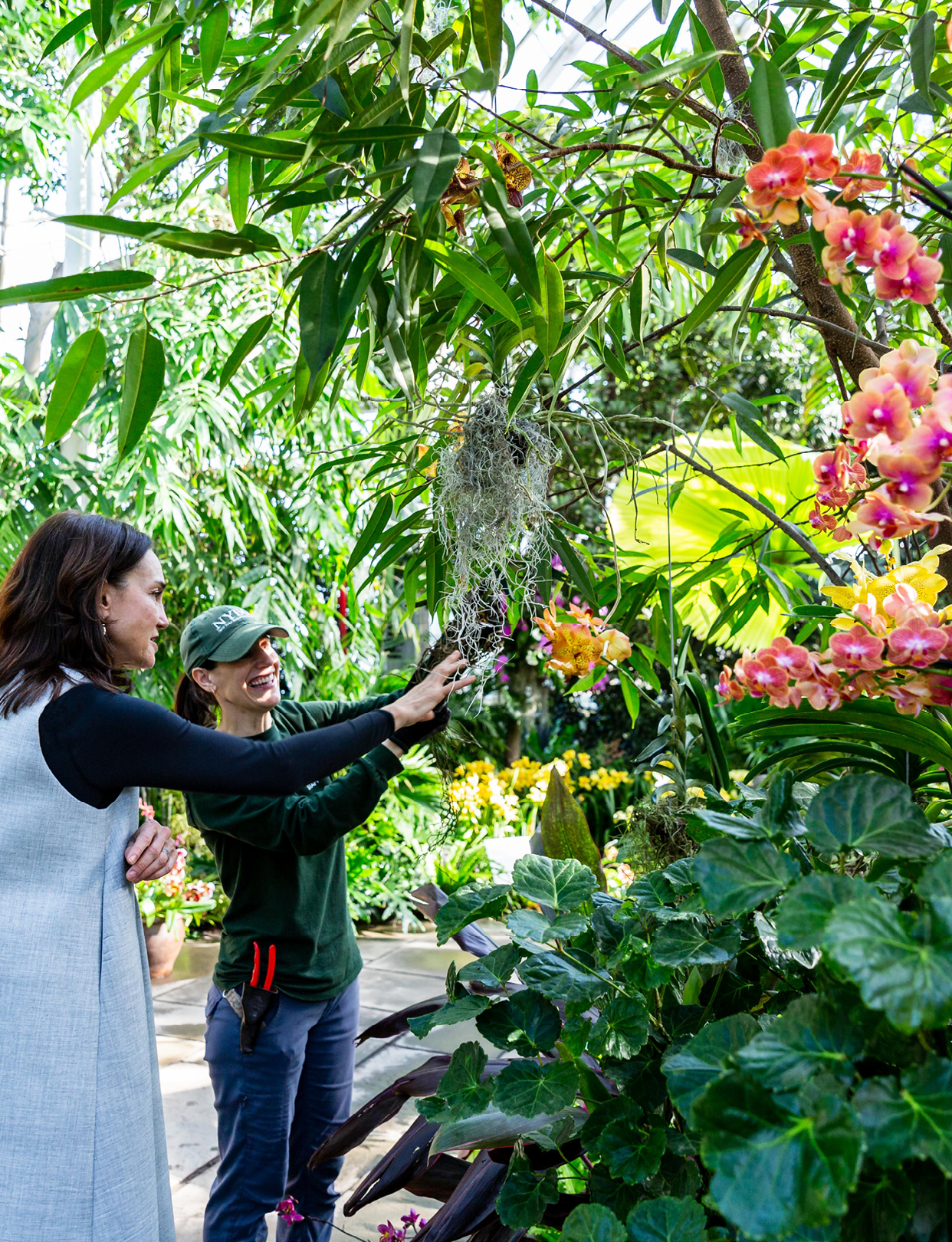 Carrie Rebora Barratt at the podium of a lecture hall