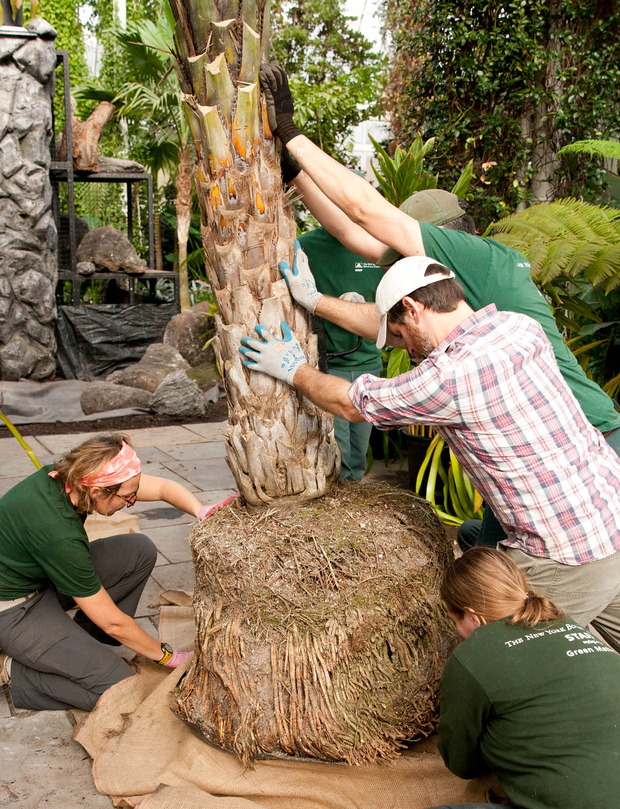 Aerial view of fall color of orange and green leaves and the Bronx River in the Thain Family Forest