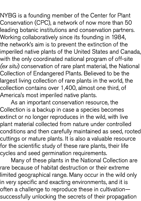  NYBG is a founding member of the Center for Plant Conservation  CPC   a network of now more than 50 leading botanic    