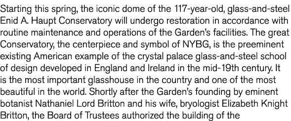 Starting this spring  the iconic dome of the 117-year-old  glass-and-steel Enid A  Haupt Conservatory will undergo re   