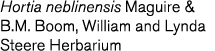 Hortia neblinensis Maguire   B M  Boom  William and Lynda Steere Herbarium