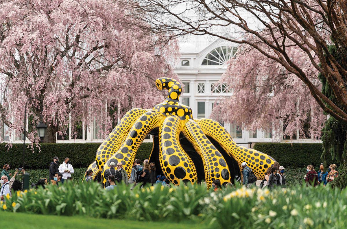 Visitors gather around an enormous sculpture of a pumpkin painted in black and yellow, its body separated into  legs  that seem to dance in the Garden s landscape between two flowering cherry trees 