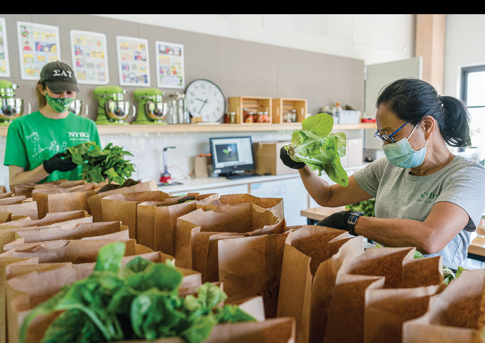 NYBG staff in the Edible Academy pack freshly harvested vegetables into brown paper bags for delivery to local organizations in the Bronx 