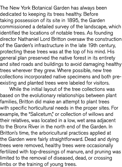 The New York Botanical Garden has always been dedicated to keeping its trees healthy  Before taking possession of its   