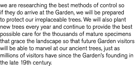 we are researching the best methods of control so if they do arrive at the Garden, we will be prepared to protect our   