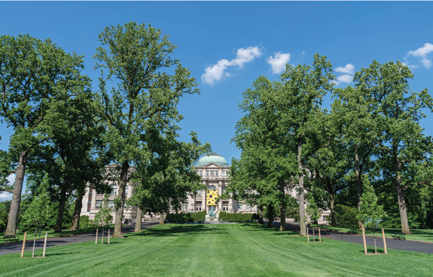 A sunny shot of the LuEsther T  Mertz Library in summer, with newly planted tulip tree saplings in the foreground and the lawn freshly mowed