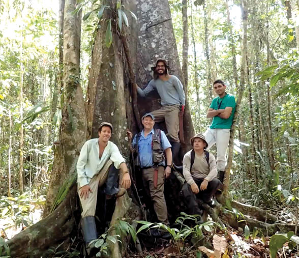 Brazilian botanists and NYBG scientists pose for a photo in front of an enormous tree trunk in the Amazon Rain Forest 