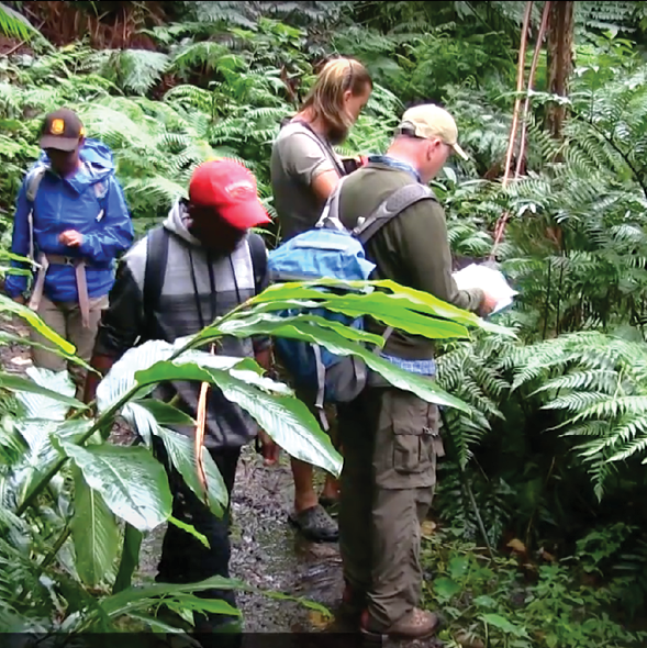 NYBG scientists work with local collaborators to examine and document plant species in Brazil s Amazon Rain Forest 