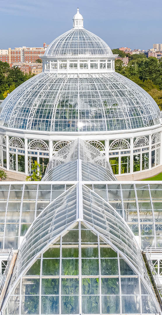 The Enid A  Haupt Conservatory palm dome with a backdrop of Bronx architecture in the distance