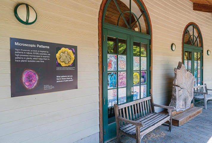A photo of the exterior of the Everett Children s Adventure Garden Discovery Center, featuring benches, an enormous cut disc of a tree trunk demonstrating the tree s age rings, and a sign demonstrating microscopic patterns