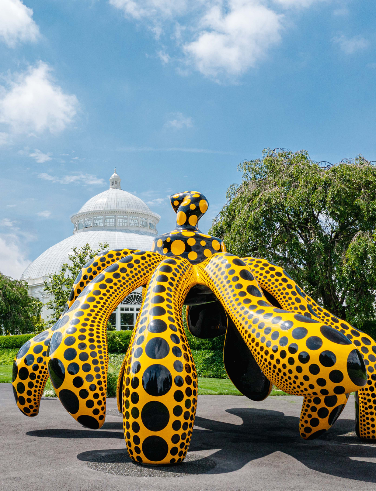 An enormous statue of a bright yellow pumpkin covered in black polka-dots seems to  dance  in front of the Enid A  Haupt Conservatory, its lower half separated into legs that almost look to be moving along the ground 