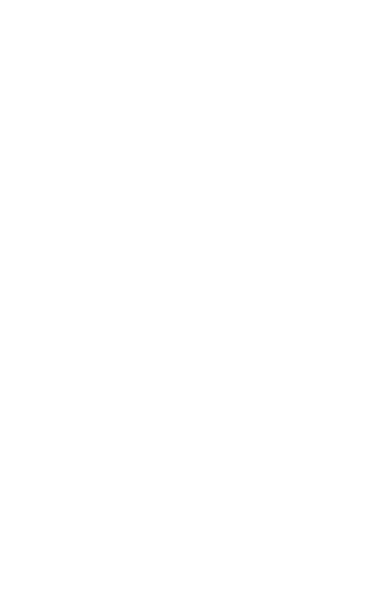 The Mother Tree  The distinguished tulip trees (Liriodendron tulipifera) that line the Allée were chosen to complemen   