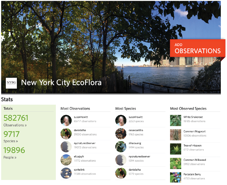 New York City EcoFlora graphic featuring observation numbers, top observer profiles, and a photo of the Manhattan skyline as seen from a city park