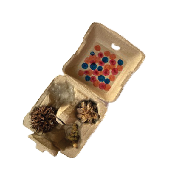 A pair of biodegradable cardboard food containers repurposed with colorful marker polka-dots; inside is revealed a collection of pine cones and other tree seed pods