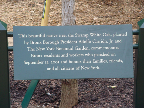 9/11 Tree Plaque