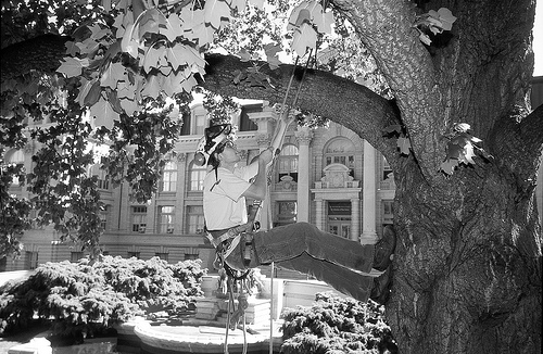 Treeclimbing