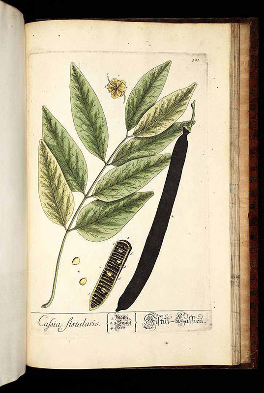 Coordinates of peculiar fruity and floral odorants